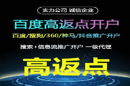 某品牌的信息流广告投放策略及效果展示